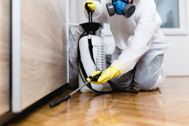 Best Emergency Pest Control  in Cheney, KS