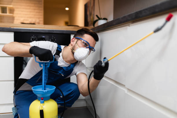 Best Ant Control Services  in Cheney, KS